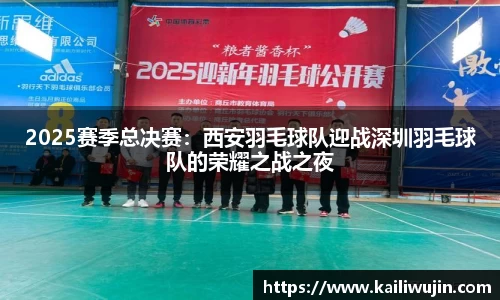 2025赛季总决赛：西安羽毛球队迎战深圳羽毛球队的荣耀之战之夜
